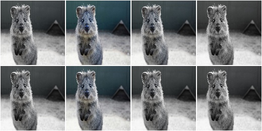 Alpha-blend images with grayscale images using a random factor
