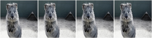 Alpha-blend images pixelwise with grayscale images