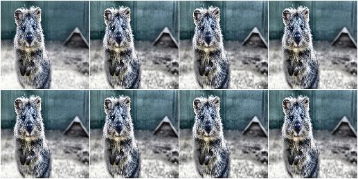 CLAHE with uniformly-distributed clip_limit