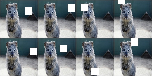 Cutout with cval=255