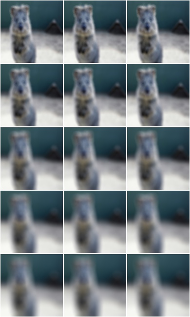 DefocusBlur