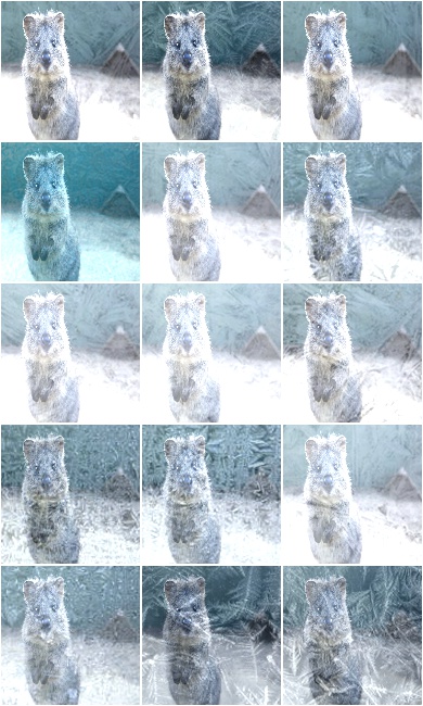 Frost