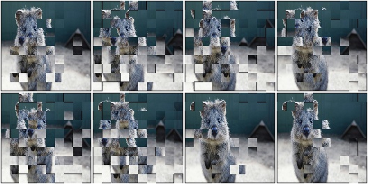 Jigsaw with random number of max_steps