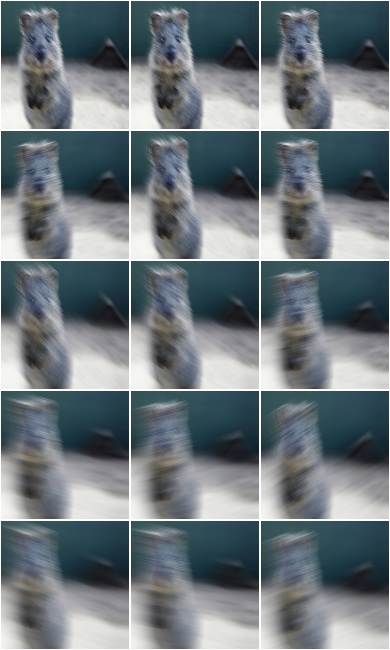 MotionBlur