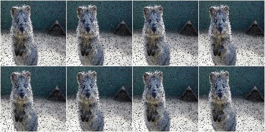 Pepper