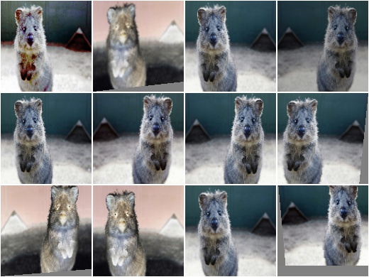 RandAugment random iterations