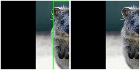 RemoveCBAsByOutOfImageFraction comparison with/without