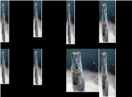 Resize with uniform distribution and choice
