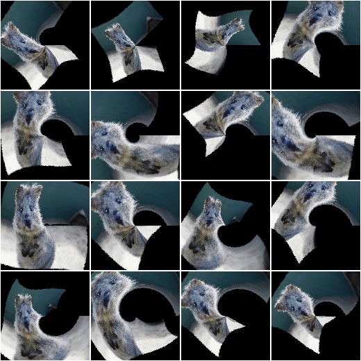 WithPolarWarping and Affine